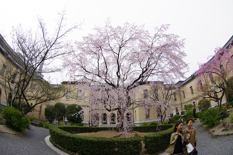 f0152550_17251034.jpg