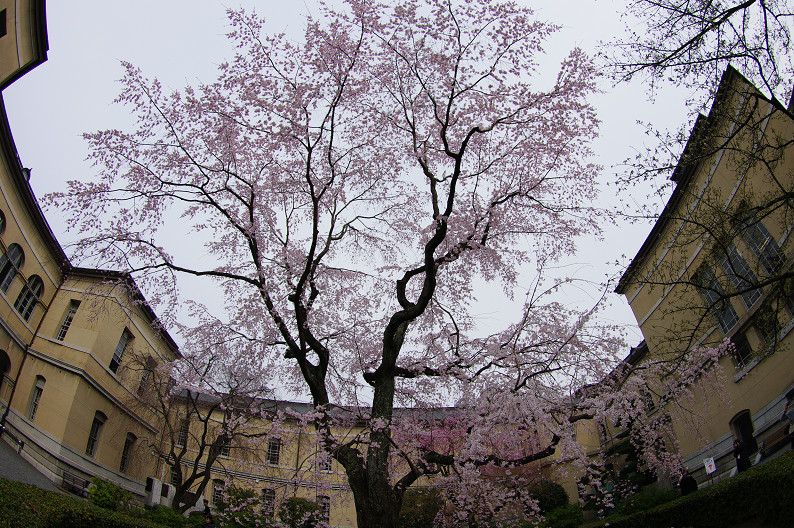 f0152550_17252147.jpg