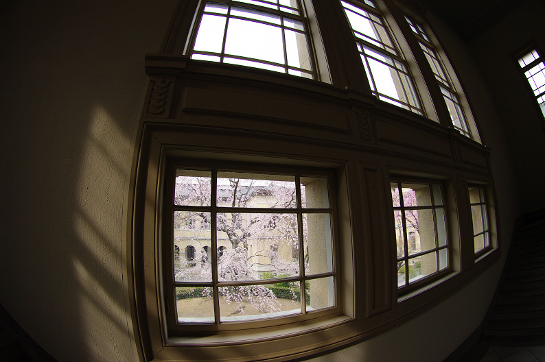 f0152550_17255116.jpg