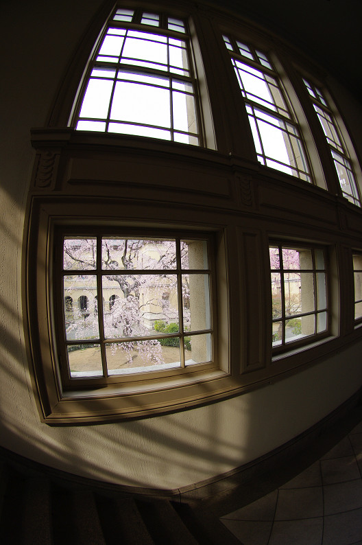 f0152550_1725569.jpg