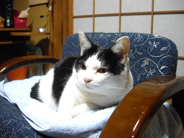 再々・・プチからのメッセージ_d0116059_2123145.jpg