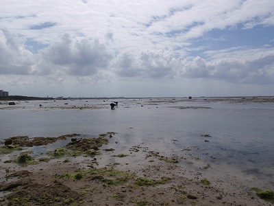c0180460_02721.jpg