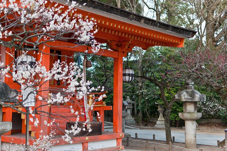 みーちゃんよ…安らかに…後編(2011年2月27日今宮神社～北野天満宮)_e0209962_232697.jpg