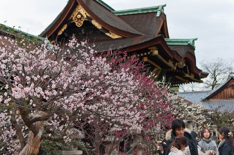 みーちゃんよ…安らかに…後編(2011年2月27日今宮神社～北野天満宮)_e0209962_240910.jpg