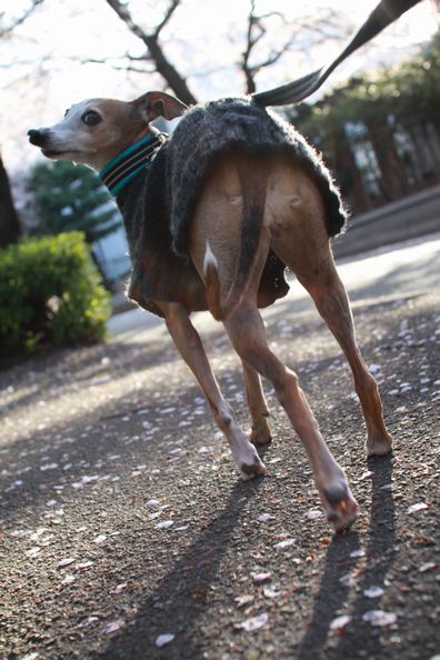 風景写真が下手すぎるオリ専門カメラマン。_f0158862_205512.jpg