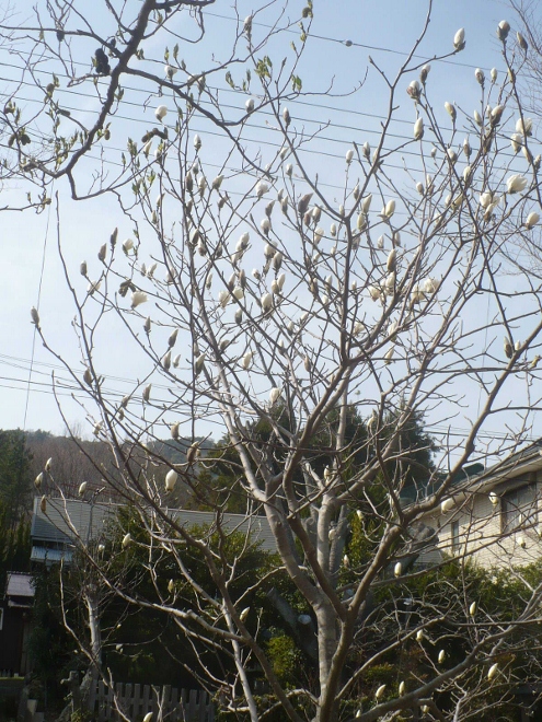 a0063364_0131612.jpg
