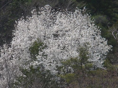 a0063364_0135784.jpg