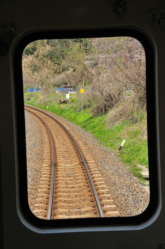 鉄路と桜_a0154170_1702515.jpg