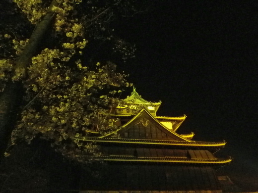 f0179073_1491545.jpg