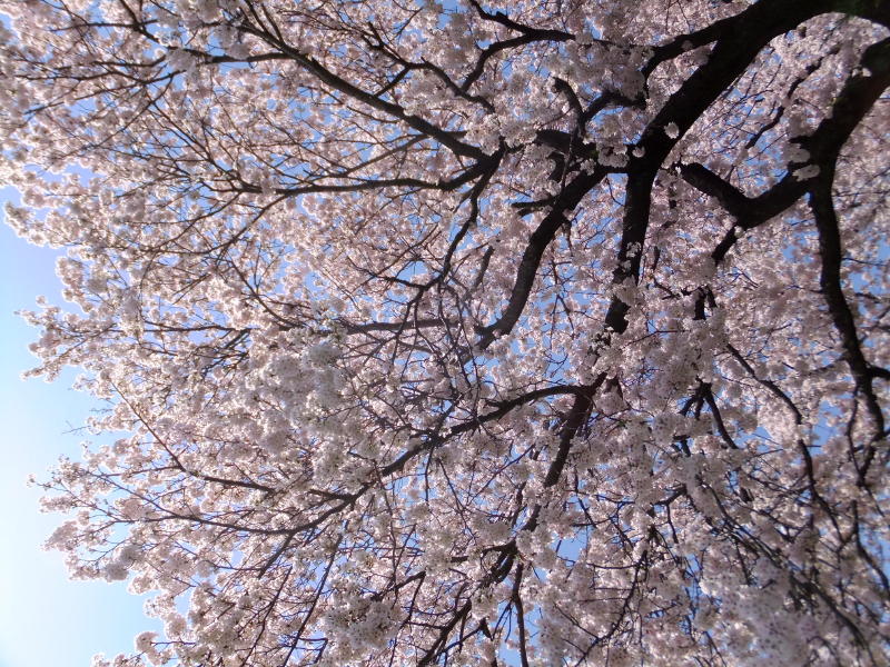 JTより_b0016474_15511967.jpg