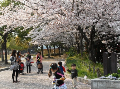 趣味の写真・・・堀内公園　　　安城市_b0105374_723072.jpg