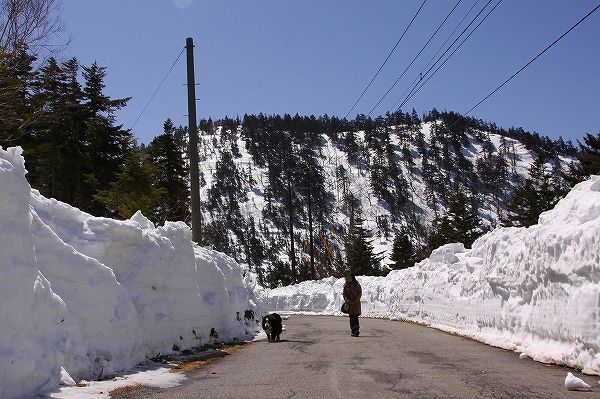 雪の回廊・・・_c0149178_17294490.jpg