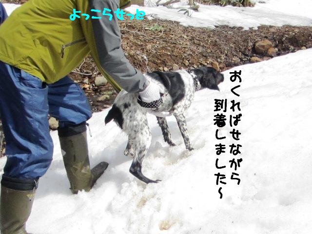 c0160878_20315395.jpg