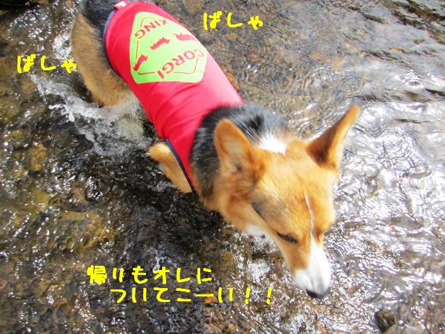 c0160878_20321583.jpg