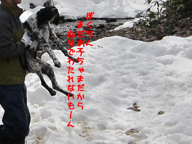 c0160878_20322539.jpg