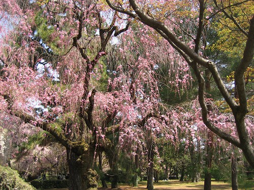 c0229483_10252353.jpg