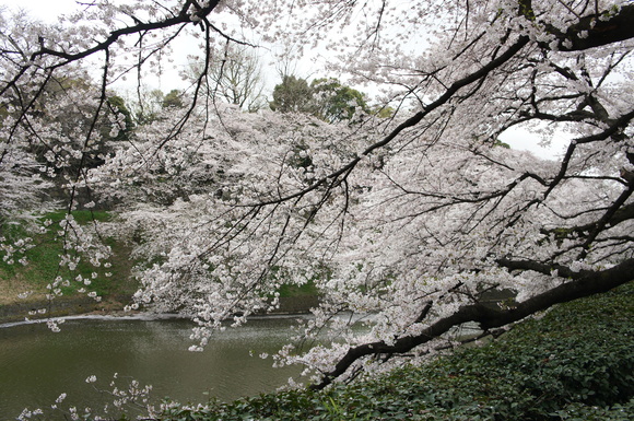 c0180686_0221458.jpg