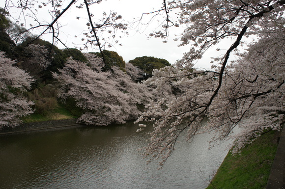 c0180686_0235351.jpg