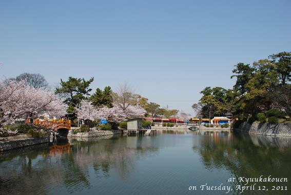 お花見お花見。_f0146388_1553410.jpg