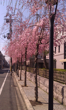 a0200204_16144562.jpg