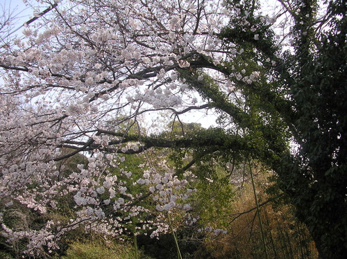 c0156104_22533233.jpg