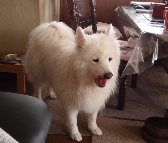e0018604_17133112.jpg