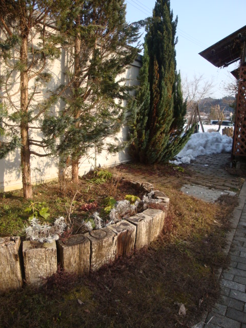 e0175905_20392027.jpg