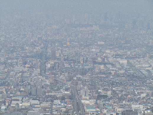 e0118908_2332951.jpg