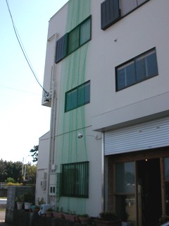 c0100110_1451213.jpg