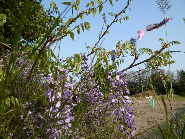 d0037110_2243225.jpg