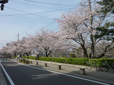 a0177314_9103134.jpg