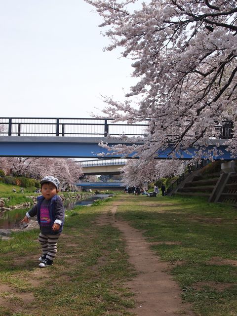 a0151615_23224956.jpg
