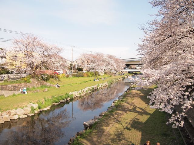 a0151615_23325712.jpg