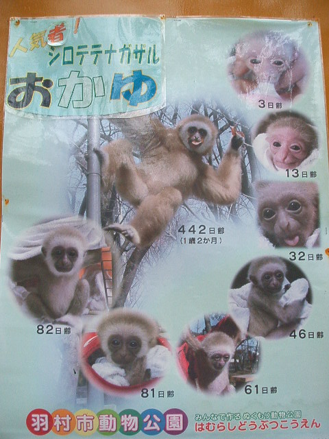 羽村動物園_e0225417_14453310.jpg