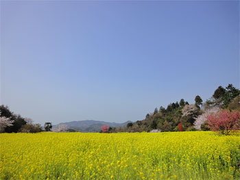 f0038819_0142342.jpg