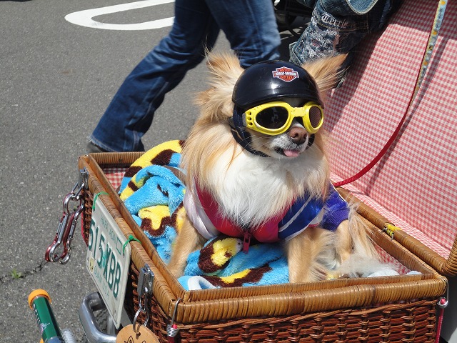 2011 Joints 名古屋 No/1_a0110720_1105567.jpg