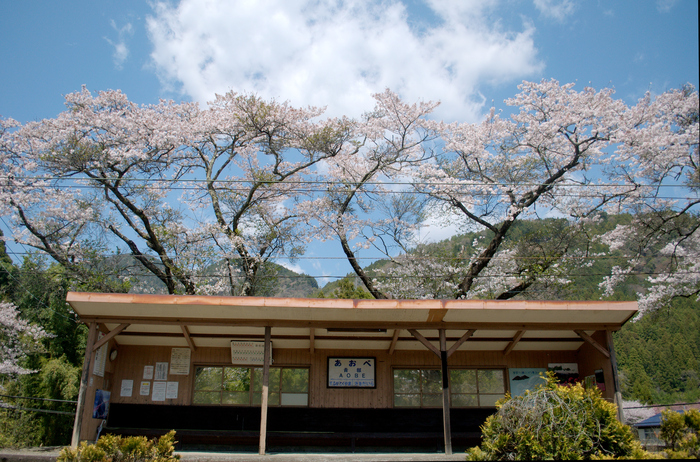 あゝ　青部駅　　　　　　　　　　大井川鉄道_d0072720_22275758.jpg