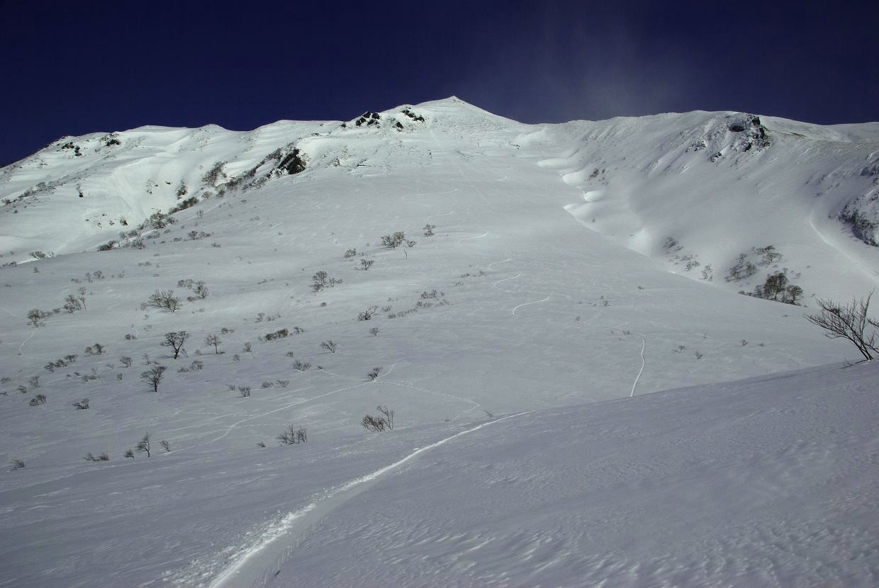 b0062024_1012199.jpg