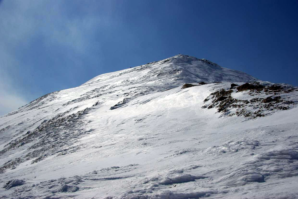b0062024_9592025.jpg