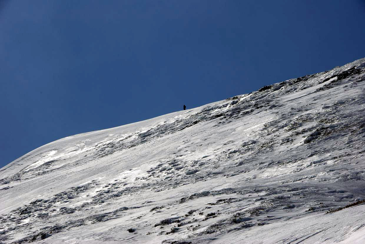 b0062024_9592929.jpg