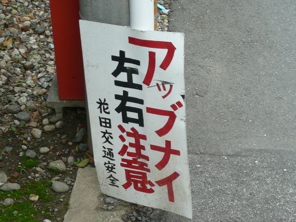 c0009528_2019237.jpg