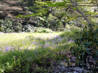 c0039428_2157332.jpg