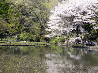 c0039428_21573892.jpg