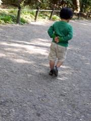 c0039428_22265544.jpg