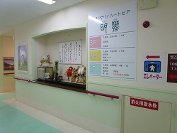 d0086228_1740100.jpg