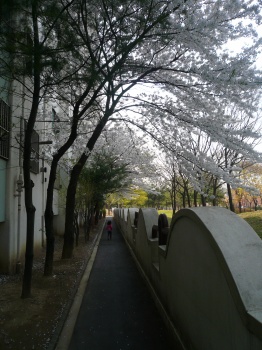 b0132630_17184931.jpg
