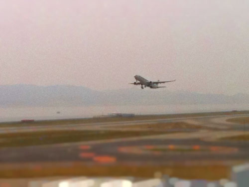旅立ち_b0181732_1520426.jpg
