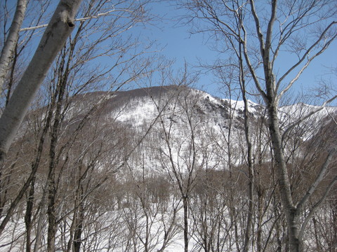 a0158236_17573471.jpg