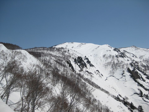 a0158236_19321237.jpg