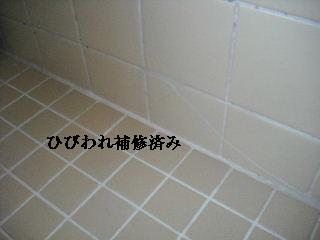 今日も色々_f0031037_2262949.jpg